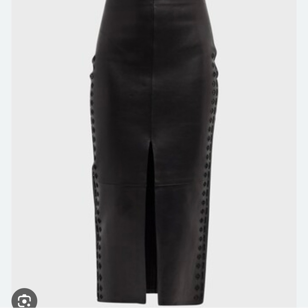 IRO Aline Embroidered Leather Skirt - Picture 3 of 7